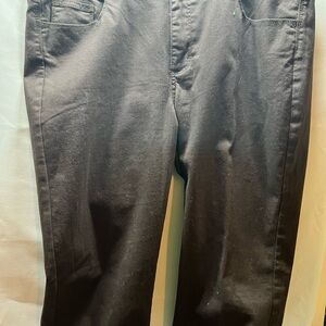 Lee Brown Slender Secret Pants